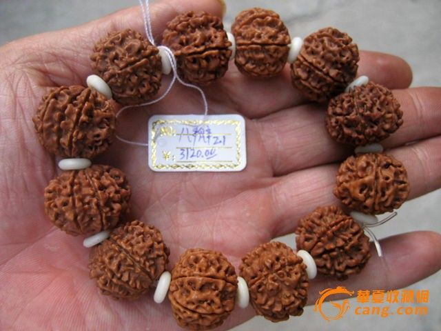 八瓣金刚菩提子14颗手串价格?-金刚菩提子8瓣