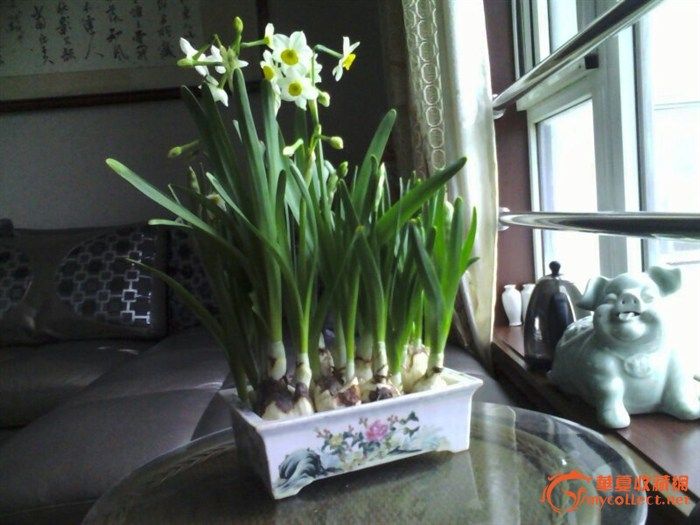 民国粉彩四季花水仙盆_民国粉彩四季花水仙盆