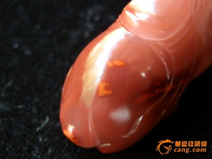 汗血宝马_汗血宝马价格_买卖_交易_行情_拍卖