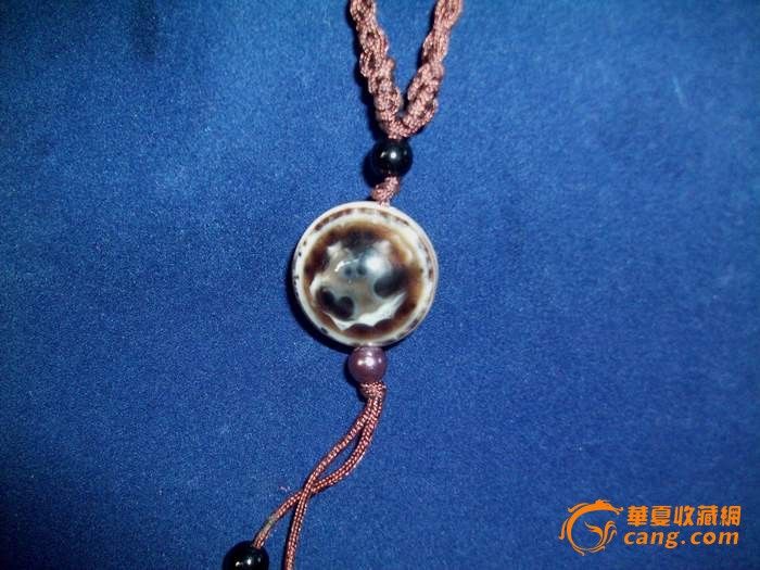 眼睛珠蓝色会遗传-眼睛多少度会遗传\/眼睛遗传