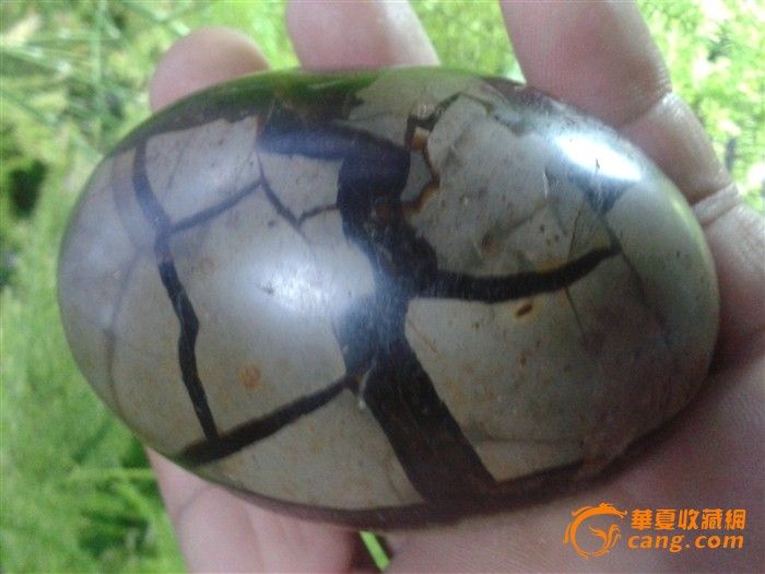 巴西龟纹玉石_巴西龟纹玉石价格_买卖_交易_