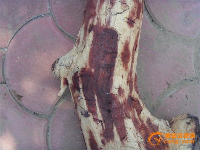 小叶紫檀老料原木一根_小叶紫檀老料原木一根价格_买卖_交易_行情_拍卖_小叶紫檀老料原木一根图片_紫檀_华夏古玩城_华夏收藏网 cang.com