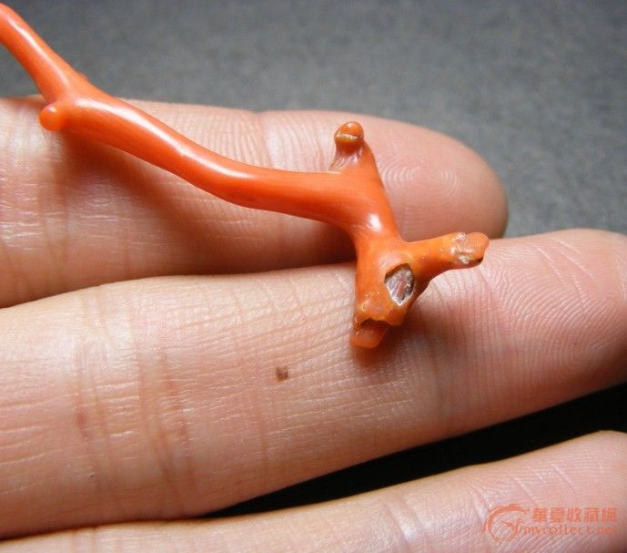 颜色正点 清代.老孩儿面红珊瑚发簪装饰大原枝(形好 尺寸大)