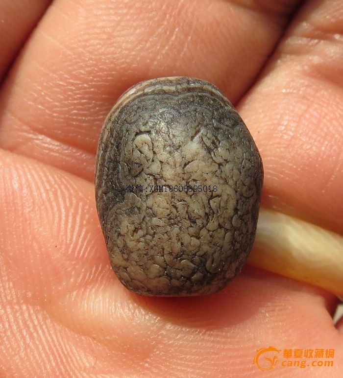 暴老千年满风化鱼鳞纹,黑白分明老缠丝老玛瑙勒子 珠016